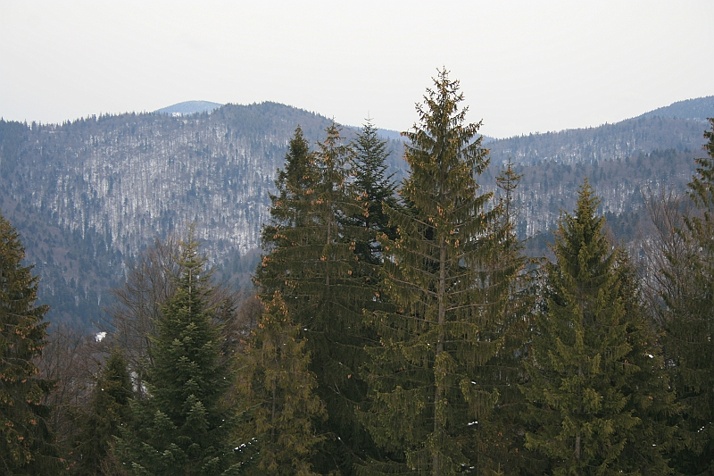 Turbacz 22.03.08 019